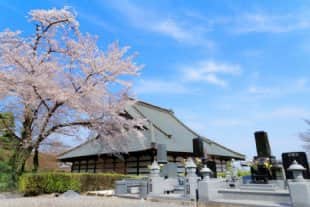 永代供養墓まほろばのイメージ